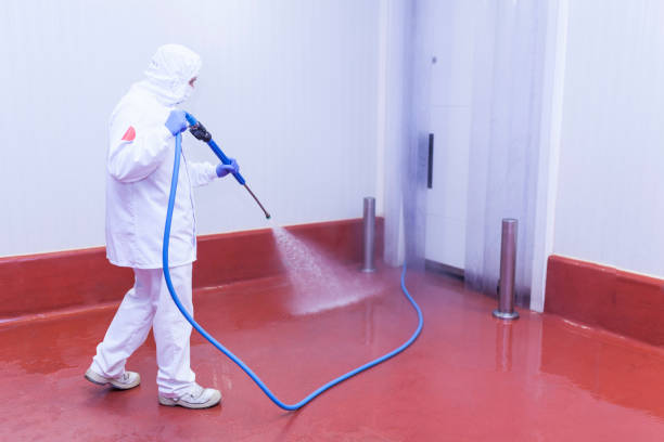 Best Sign and Awning Cleaning  in Groveland, ID