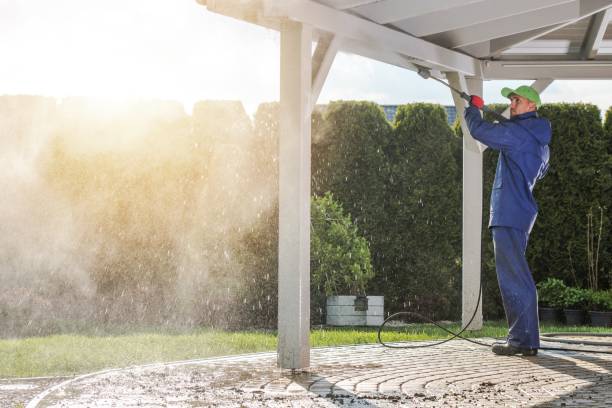 Best Roof Washing  in Groveland, ID